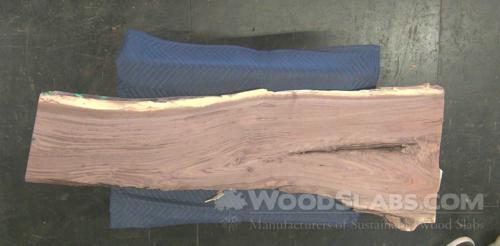 Walnut Wood Slab #AFE-VXM-UEBR