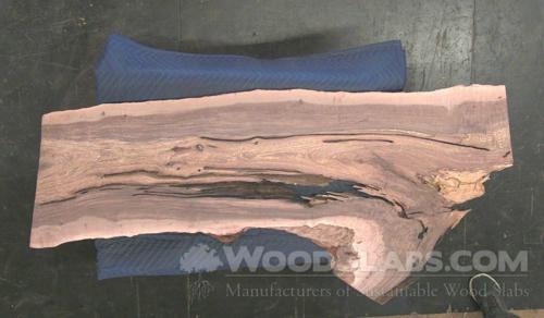 Australian Beefwood Wood Slab #9EE-839-DTKH