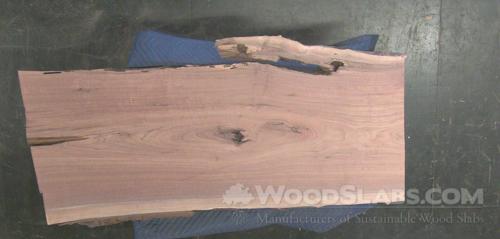 Walnut Wood Slab #03J-MKN-5XEF