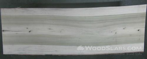 Rainbow Poplar Wood Slab #CIX-QAC-8SSG