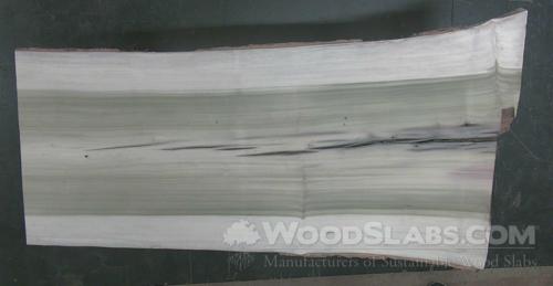 Rainbow Poplar Wood Slab #1MD-7NO-YU93