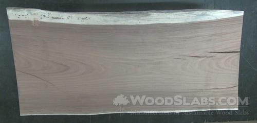 Parota Wood Slab #69J-VQD-4MMJ