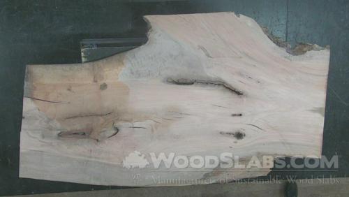Laurel Oak Wood Slab #8A1-R7W-YX4J