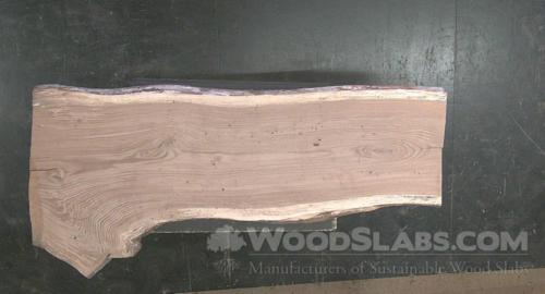 Chestnut Oak Wood Slab #CG1-3OP-ABBM