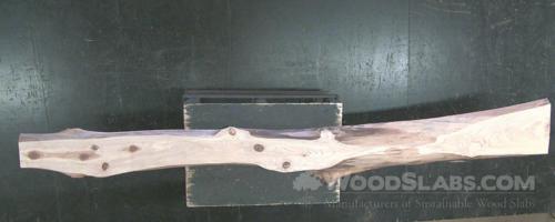 Cypress Wood Slab #TX8-F5Q-V8L9