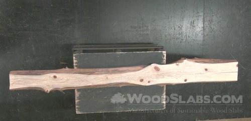 Cypress Wood Slab #ONR-HEU-UFH1