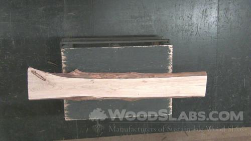Cypress Wood Slab #AU7-4TZ-A9GJ