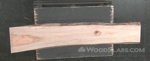 Cypress Wood Slab #3LO-IJL-31IJ