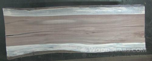 Parota Wood Slab #585-Z9S-J9QD