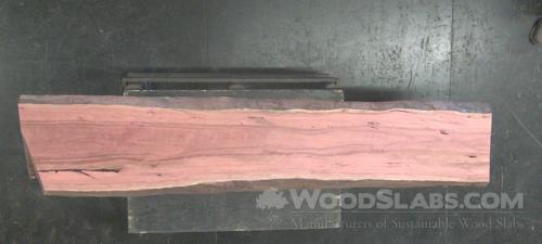 Eucalyptus Wood Slab #T33-EX8-OHMN