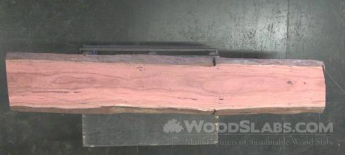 Eucalyptus Wood Slab #J3U-Q4Z-ONWZ