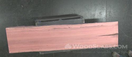 Eucalyptus Wood Slab #K7R-11U-JUBU