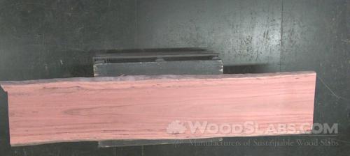 Eucalyptus Wood Slab #0M2-XL1-28JH
