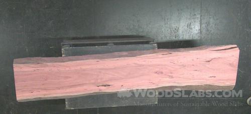 Eucalyptus Wood Slab #FR1-1CU-DO72