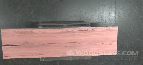 Eucalyptus Wood Slab #DXB-SG0-AG3J