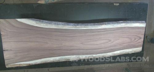 Parota Wood Slab #DFO-1P6-FCQE