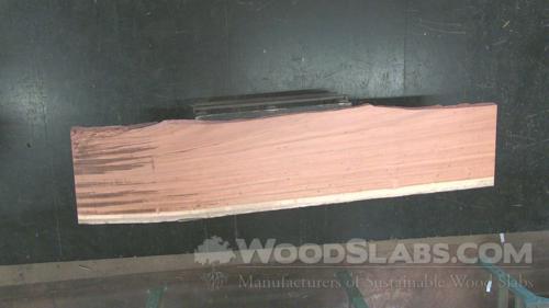 Tigerwood Wood Slab #6Q1-QRQ-F4IQ