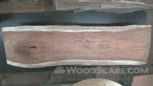 Parota Wood Slab #Y46-O6N-JY20