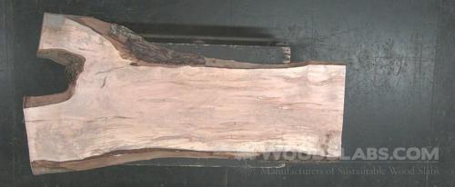 Ambrosia Maple Wood Slab #NJ1-UUK-26LF