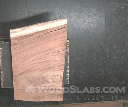 Parota Wood Slab #4MR-DXM-5FSB