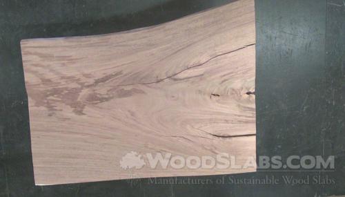 Parota Wood Slab #NBH-OBT-LJK9