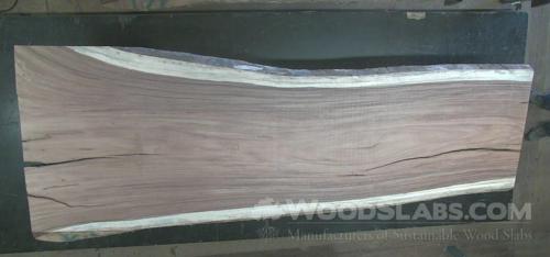Parota Wood Slab #ES0-S8T-TIR9