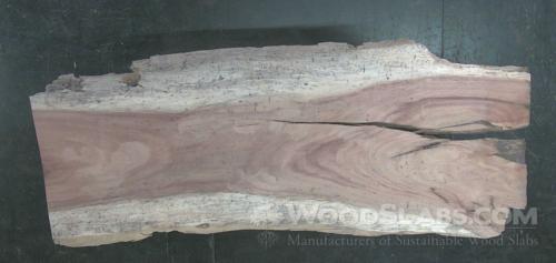 Parota Wood Slab #SEG-477-B7MZ