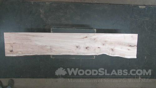 Ambrosia Maple Wood Slab #Z86-OMG-BFP0