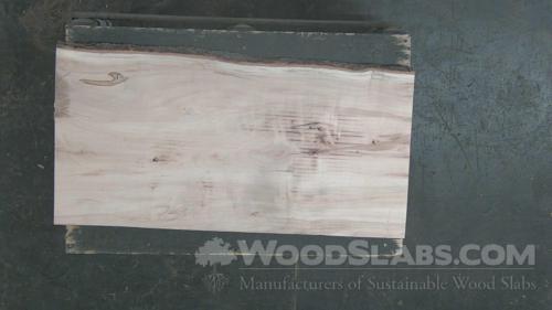 Ambrosia Maple Wood Slab #LQB-32Q-W2IV