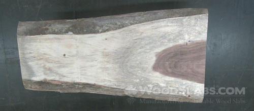 Parota Wood Slab #RGV-KP7-D93Z