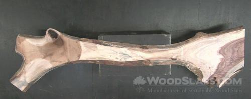 Monkey Pod Wood Slab #2IU-HFN-EW0G
