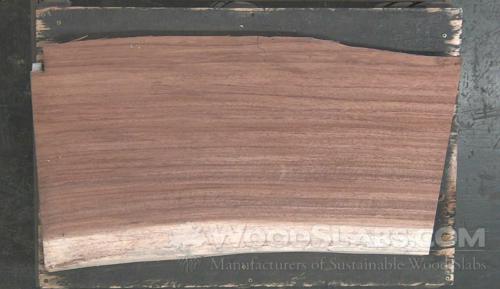 Parota Wood Slab #3RU-8B9-1KKB