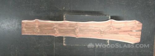 Latin Teak Wood Slab #VGR-S29-JXKE