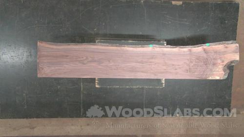 Walnut Wood Slab #OXI-589-O9ES