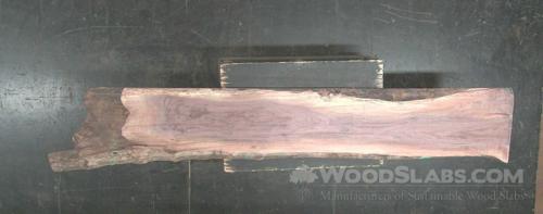 Walnut Wood Slab #B9R-M4P-6GWC