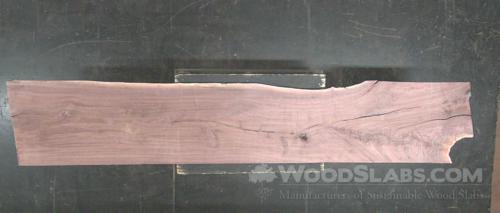 Walnut Wood Slab #7K6-NAU-WEEH