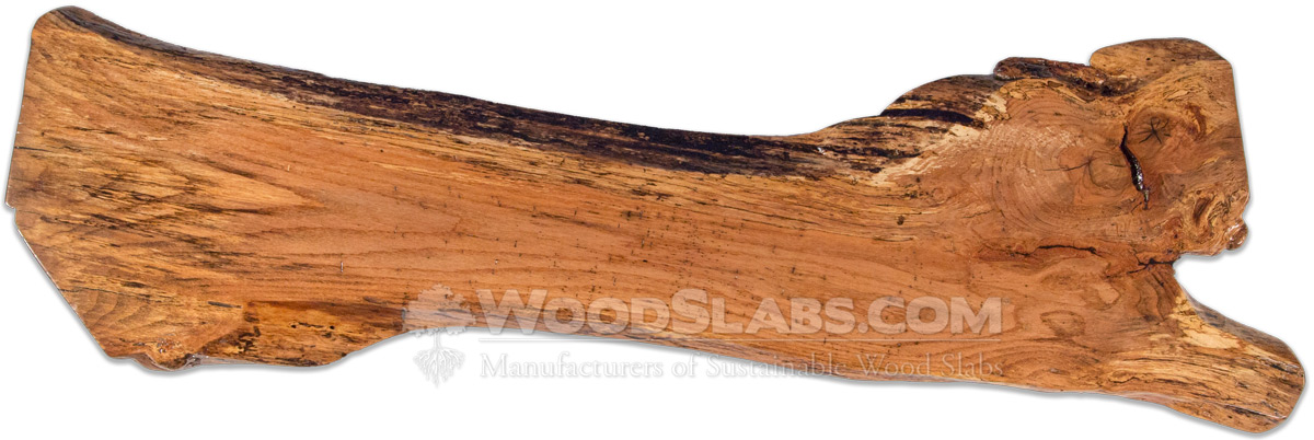 Laurel Oak Wood Slabs