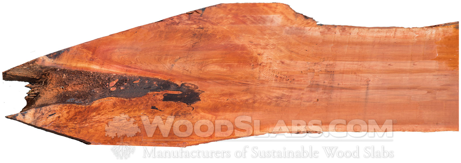 Bishopwood Slabs