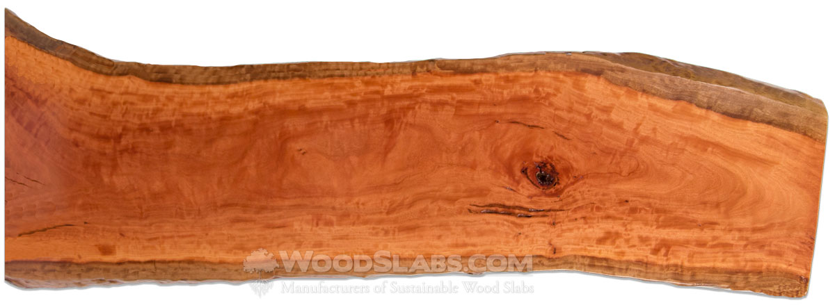 Eucalyptus Wood Slabs