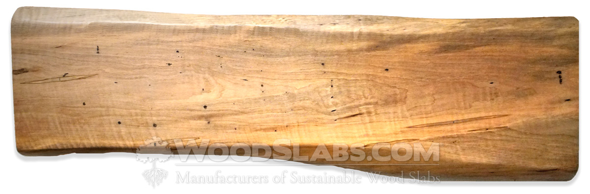 Ambrosia Maple Wood Slabs