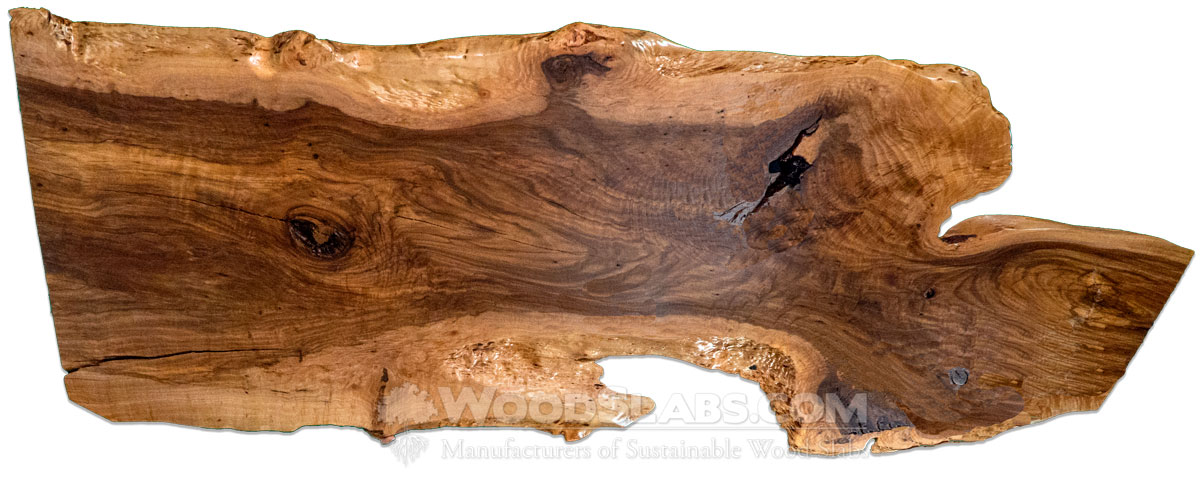 Austrlian Beefwood Slabs