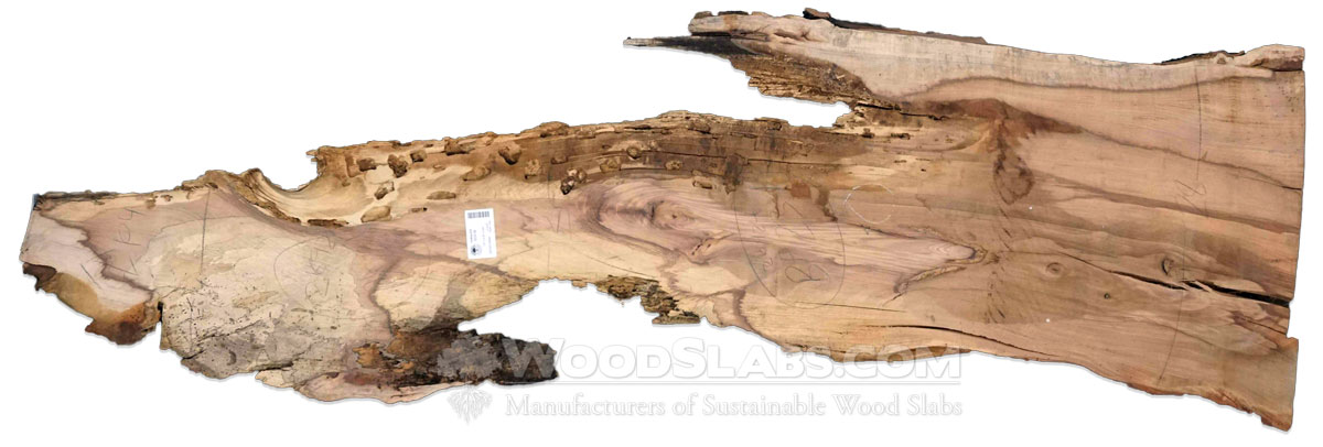 Hickory Wood Slabs