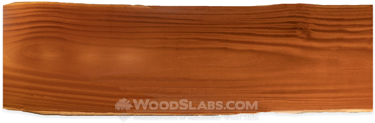 Tatajuba Wood Slabs