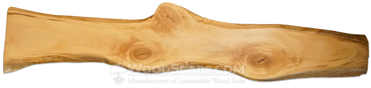 American Sycamore Wood Slabs