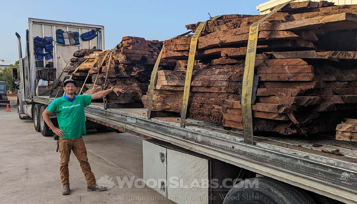 Olive Wood Slabs