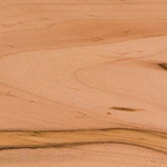 Ambrosia Maple Wood Slabs