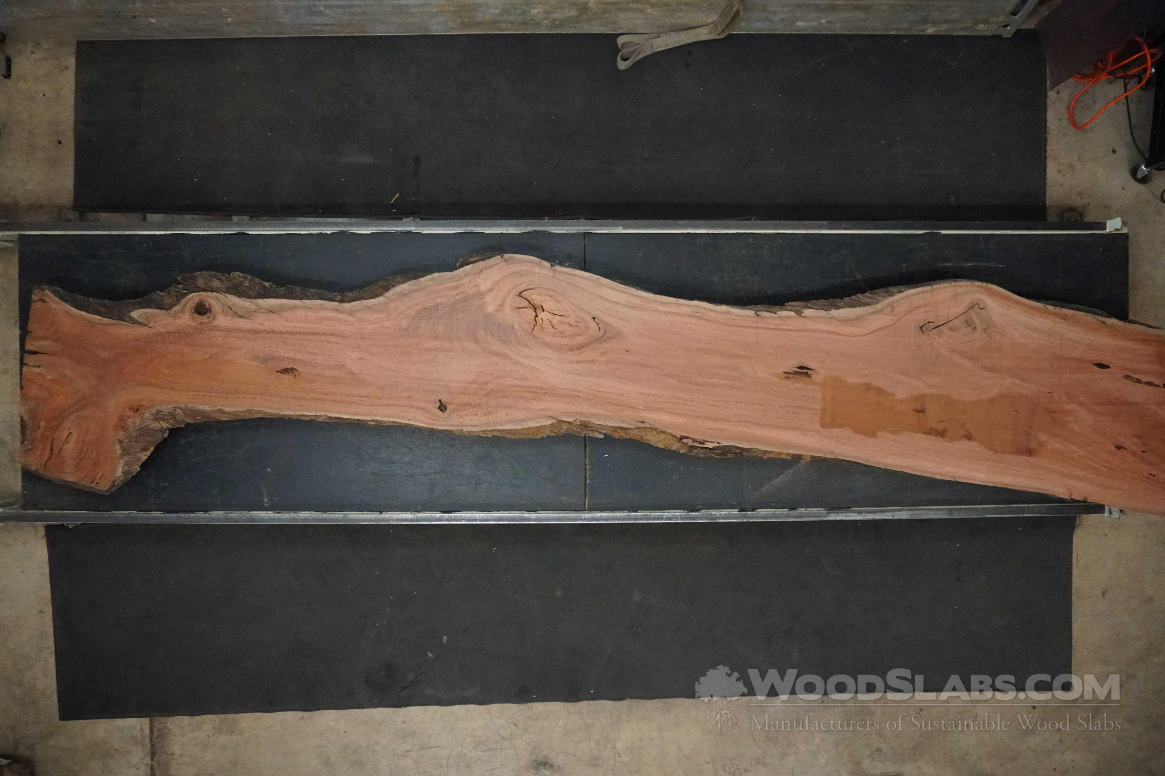 Eucalyptus Wood Slabs