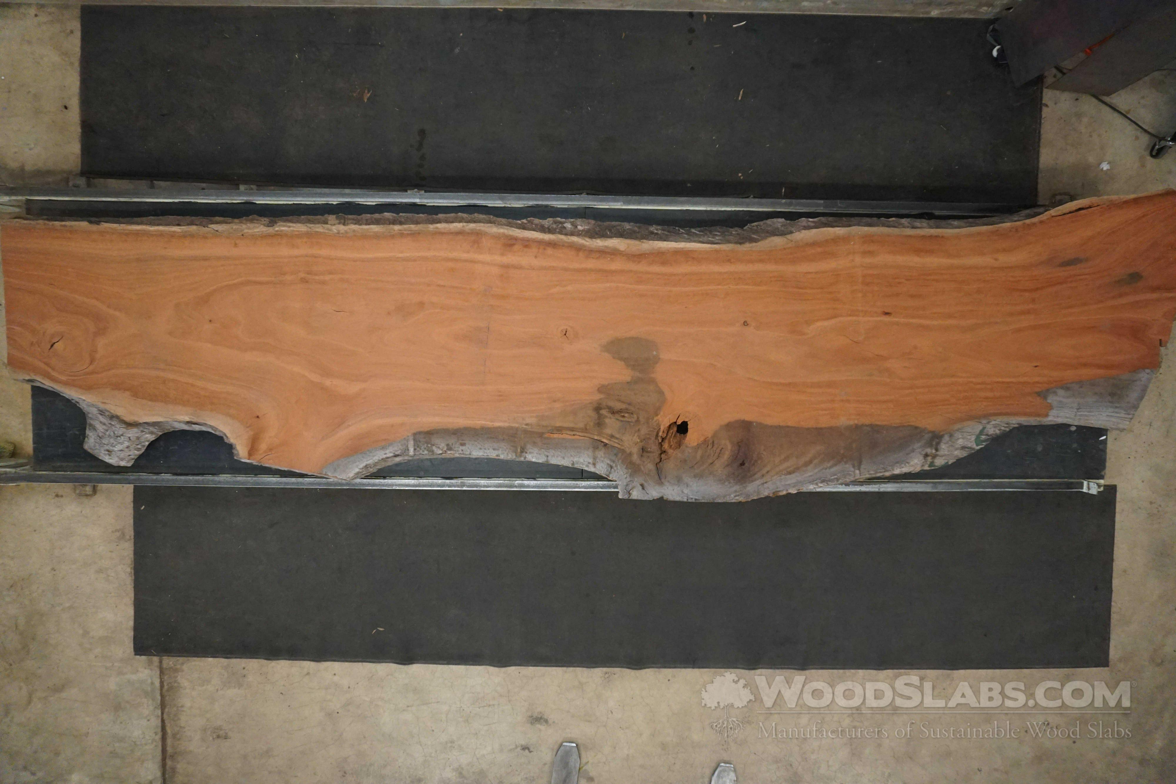 Eucalyptus Wood Slabs