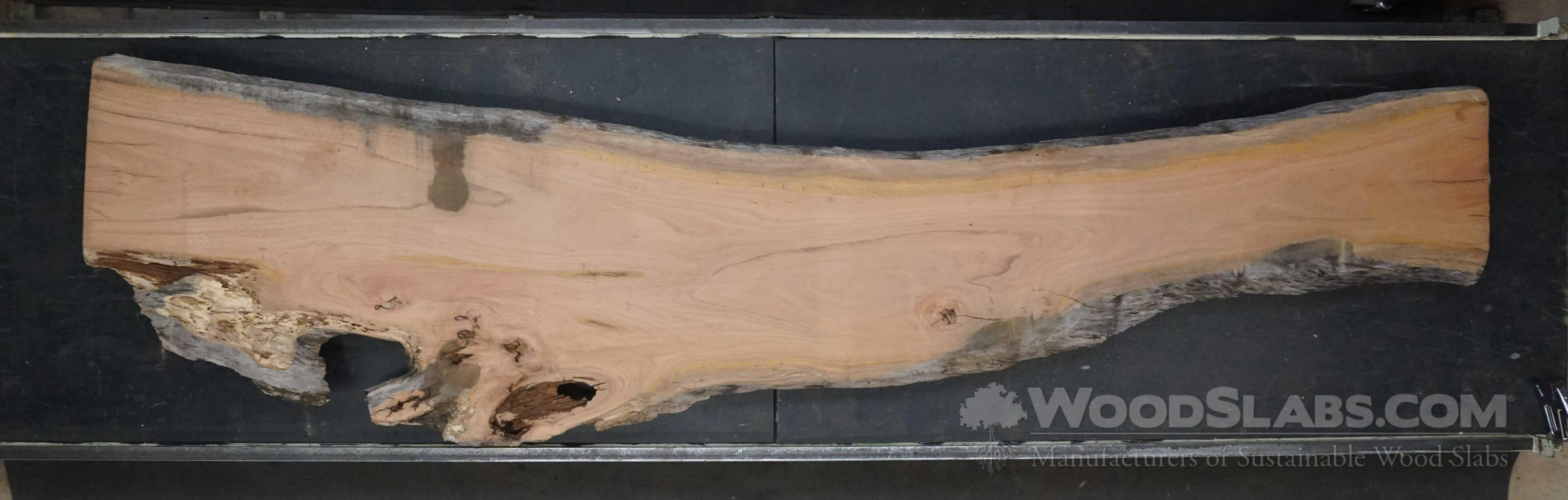Eucalyptus Wood Slabs