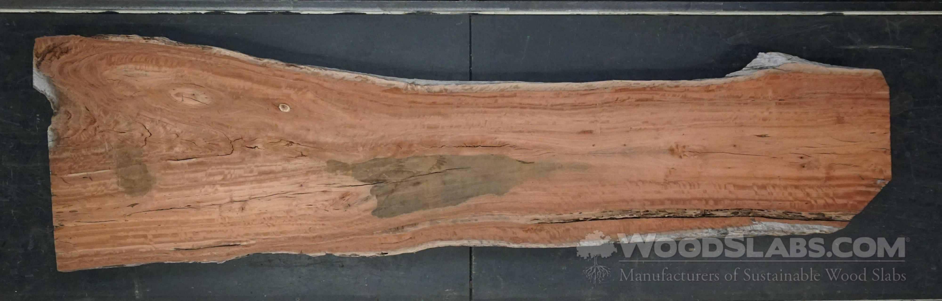 Eucalyptus Wood Slabs